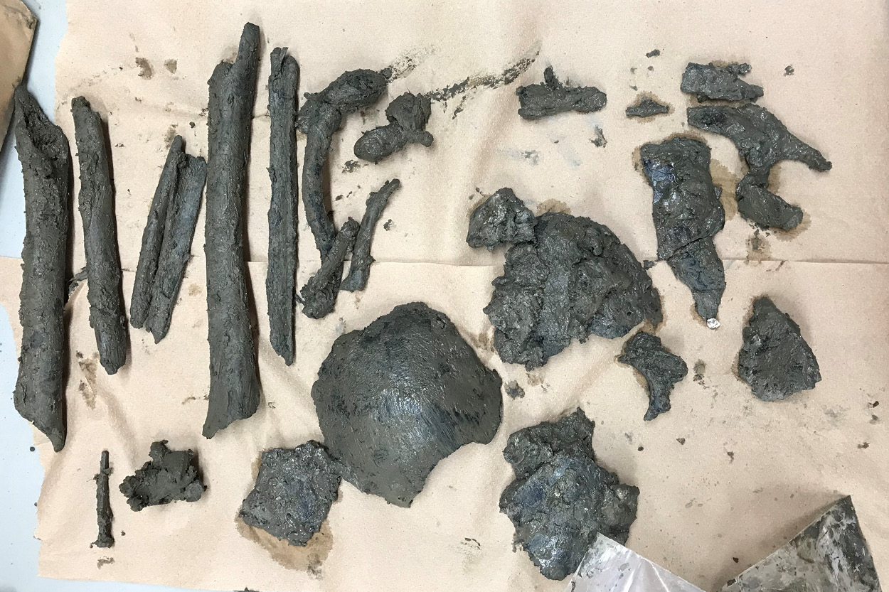 Bones from archaeological excavations