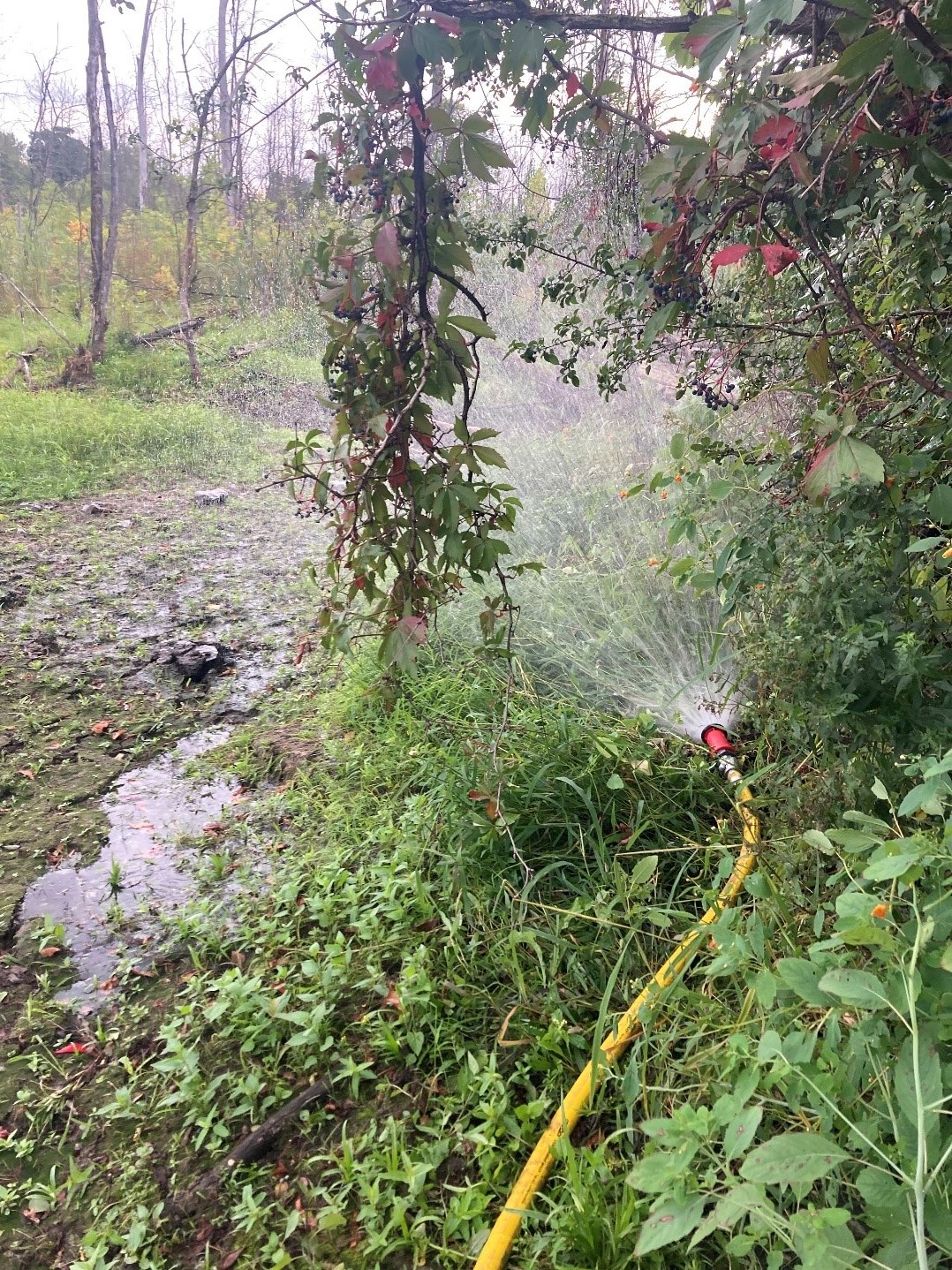 Image of recharging method