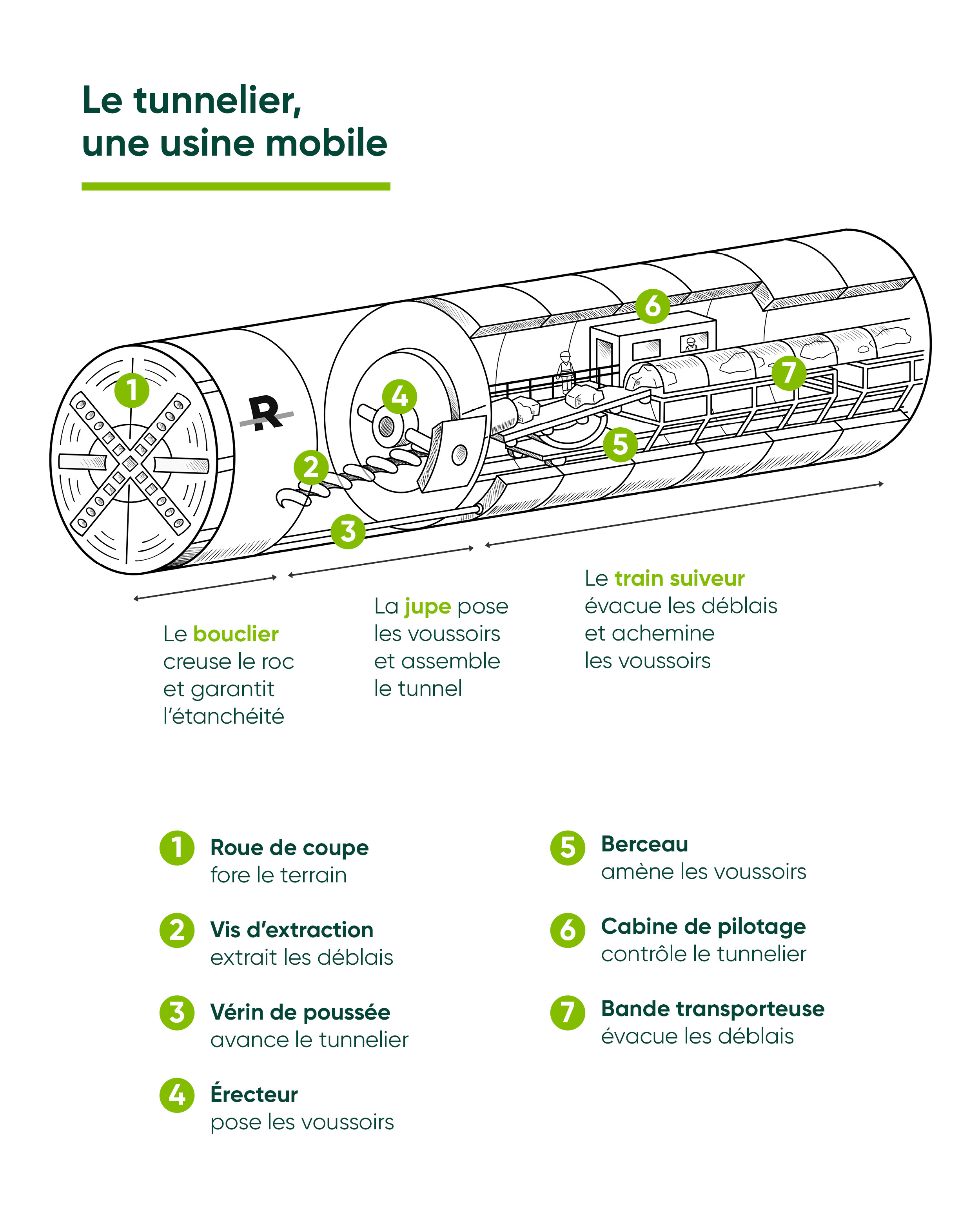 Infographie des différentes parties du tunnelier : roue de coupe, vis d'extraction, vérin de poussée, érecteur, berceau, cabine de pilotage et bande transporteuse.