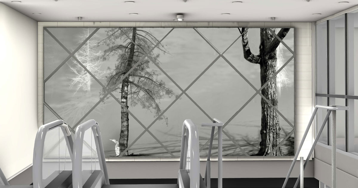  In/animation (la forêt qui nous habite)