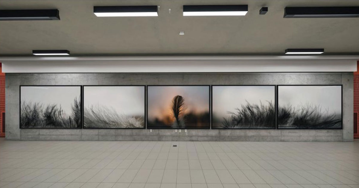 Opengraph La légèreté des horizons