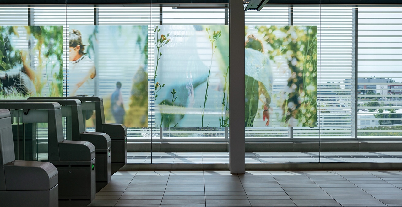 Oxygène © Alexis Bellavance