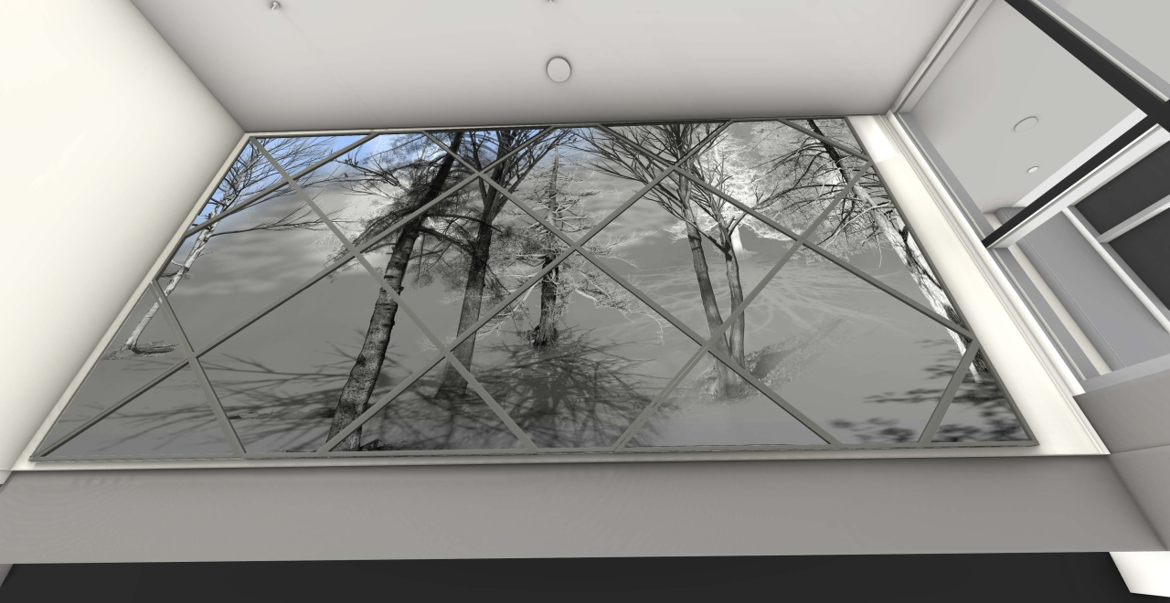 In/animation (la forêt qui nous habite) by Diane Morin.