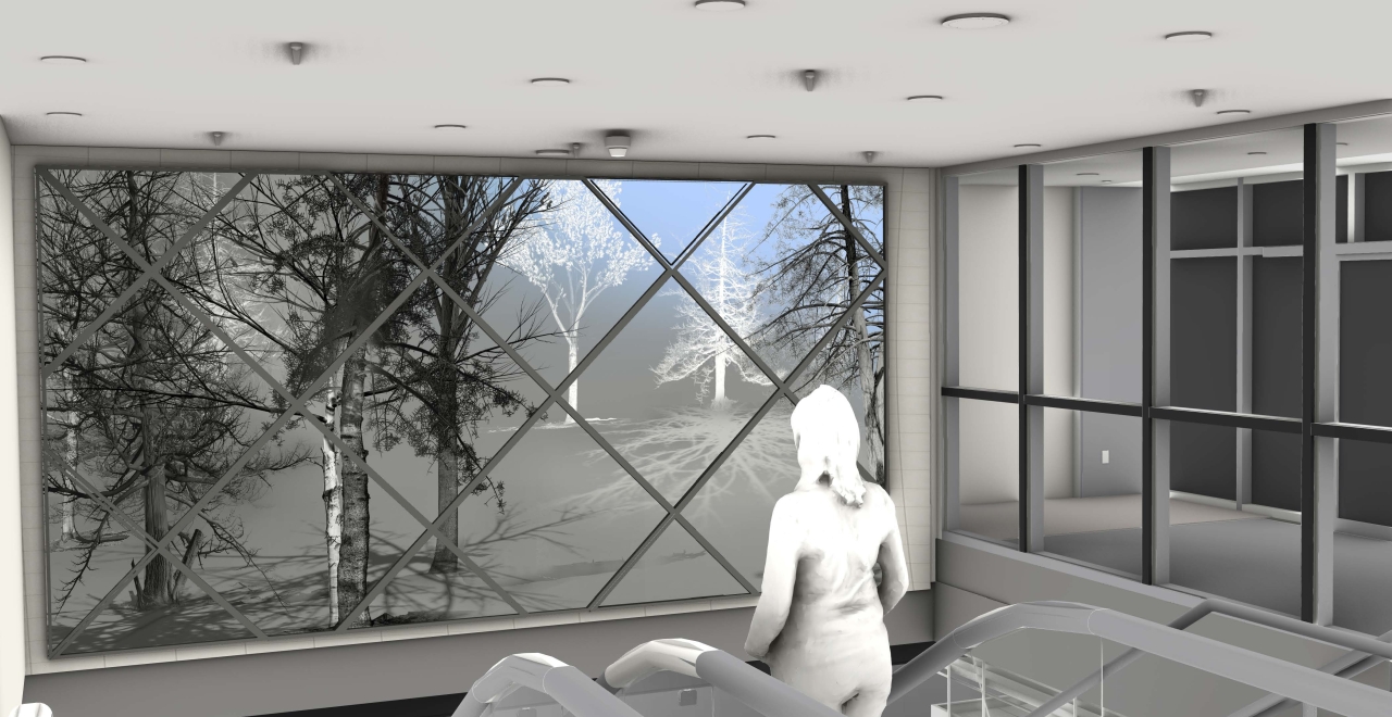 In/animation (la forêt qui nous habite) by Diane Morin.