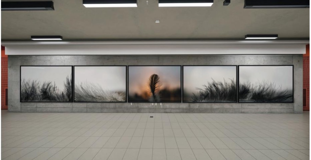 Series of nine photographs entitled La légèreté des horizons by Éliane Excoffier.