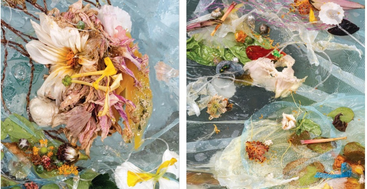 Filets, photographic triptych by Michelle Bui.