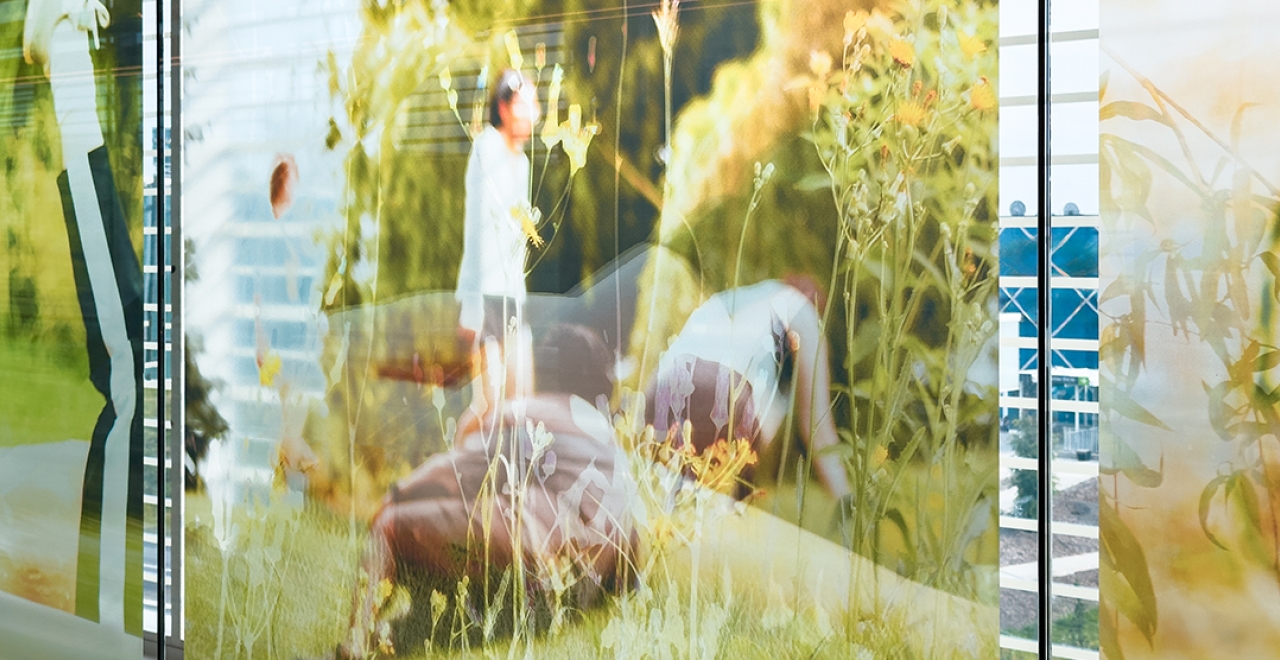 The work Oxygène between Du Quartier station and Brossard’s Grand Parc Urbain.