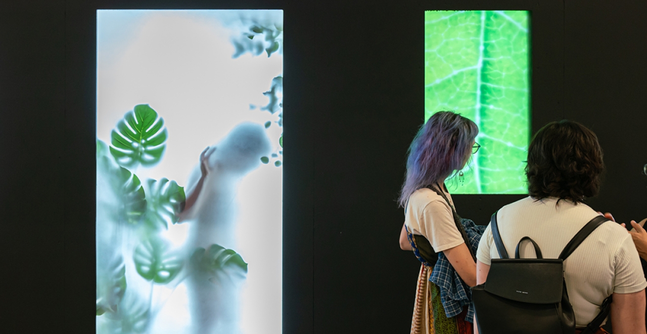 The work Éc(h)o : Passage du Vivant at Panama station.